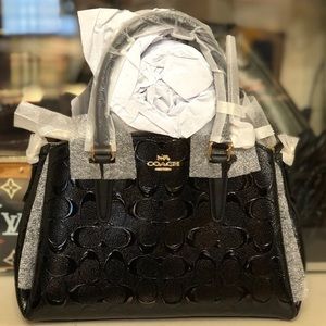 NWT Coach Mini Sage Carryall Signature